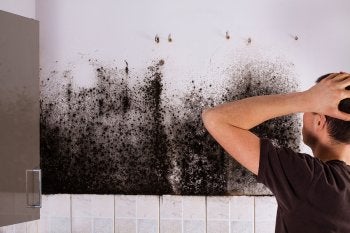 Mold Exposure