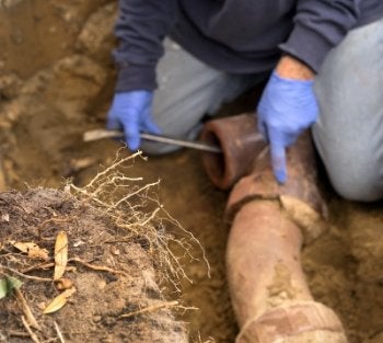 Sewer Line