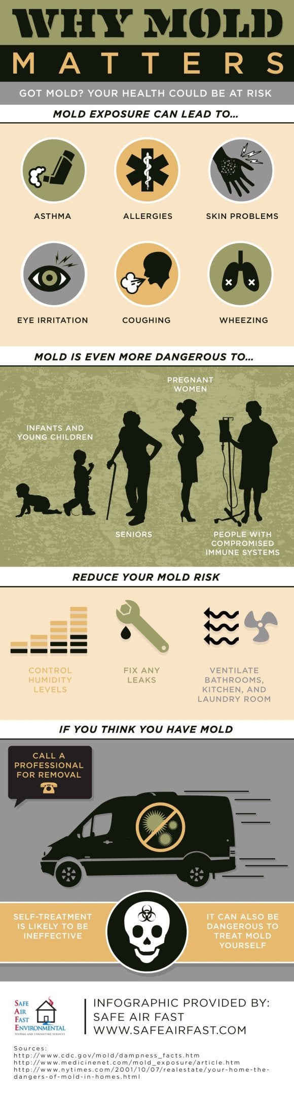 Mold Testing Infographic