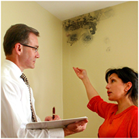 Mold Testing Service in San Francisco